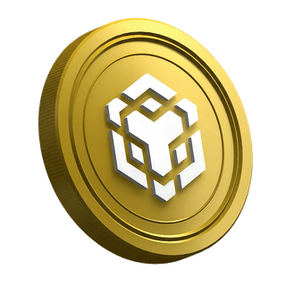 Pièce Binance BNB affichée sur la page du guide destiné aux nouveaux investisseurs